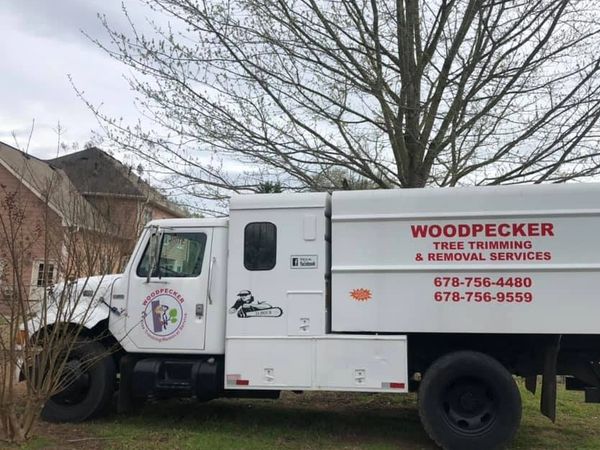Woodpecker Tree Trimming & Removal Service truck