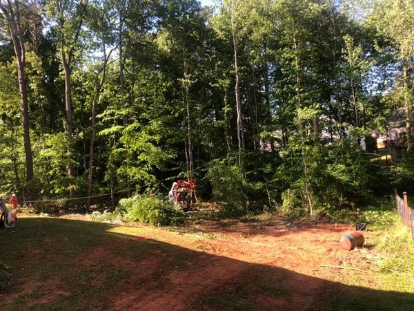 Land clearing project for a playground