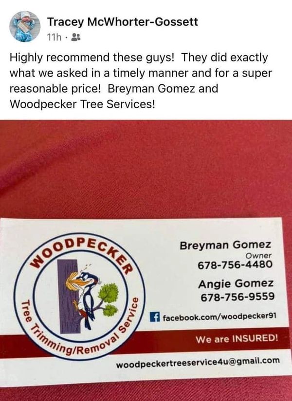Client's review