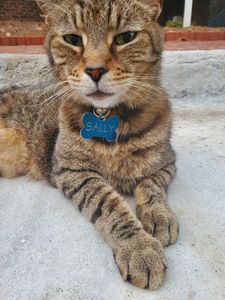 historic brookstown inn, brookstown inn history, brookstown inn events, winston salem hotels