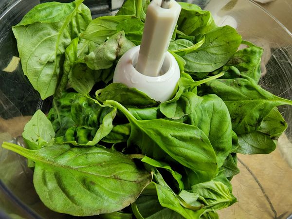 how to make pesto sauce, how to make pesto easy, how to make pesto basil, best pesto recipe,