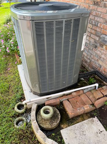 Job in Yalaha After Pic #2