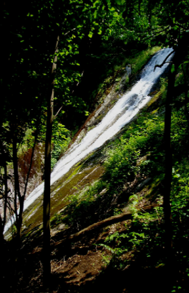 Kiser Environmental Consulting