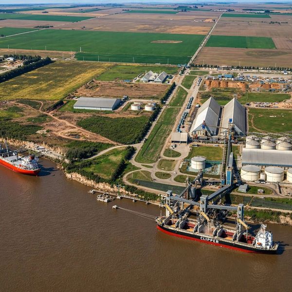 Aerial view of a river port with cargo ships and agricultural fields.