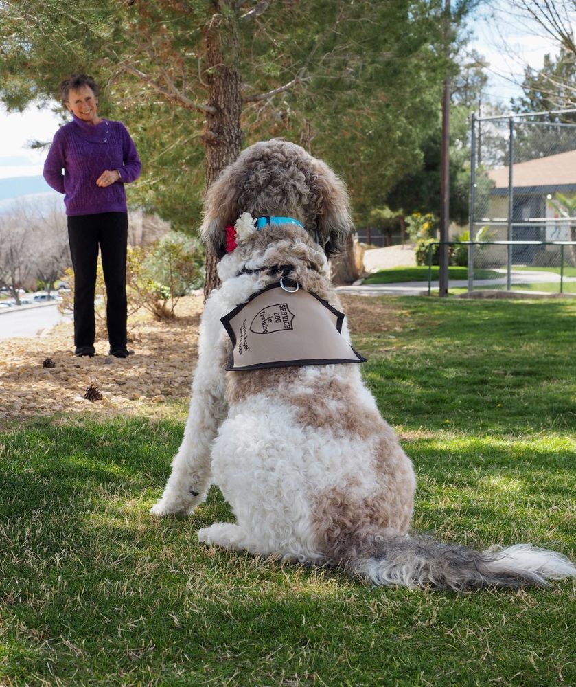 UTAH SERVICE DOG AGENCY MOBILITY, DIABETIC ALERT, PTSD, AUTISM VETERANS DISABILITIES NONPROFIT