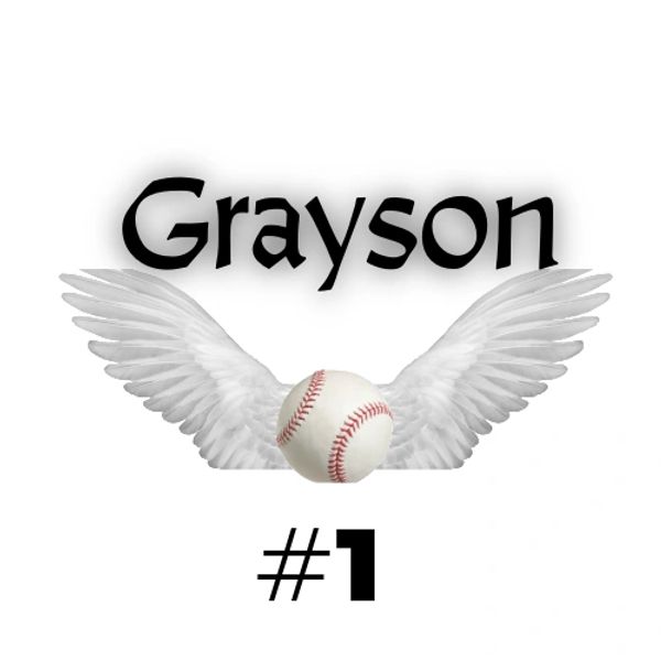 At Grayson Deckard Memorial, our mission is to provide financial assistance to local youth baseball