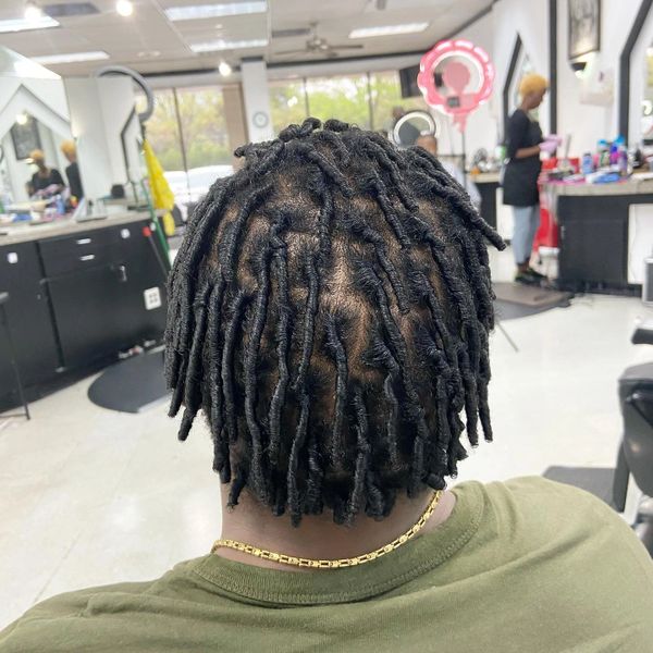 Starter Locs