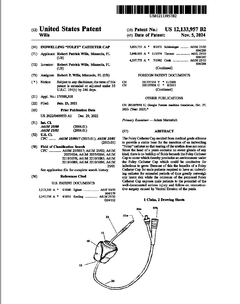 US Patent 12,133,957