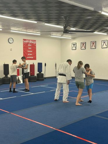 Sutdents learning judo