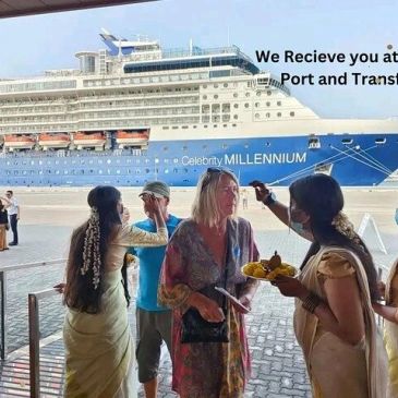 Guests welcomed at the port with a cruise ship in the background.
