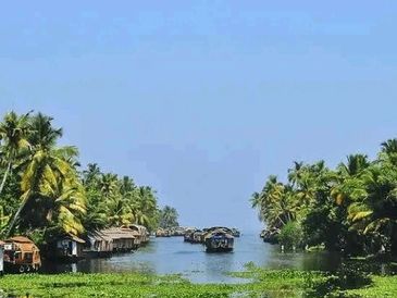 Scenic backwater view with boats and palm trees.