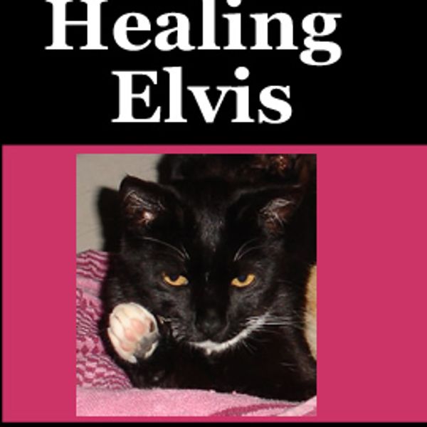 Healing Elvis Book