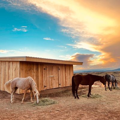 Three horses grazing near a wooden shed during a colorful sunset.