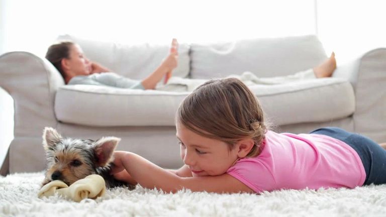 carpet, dog, girl, child