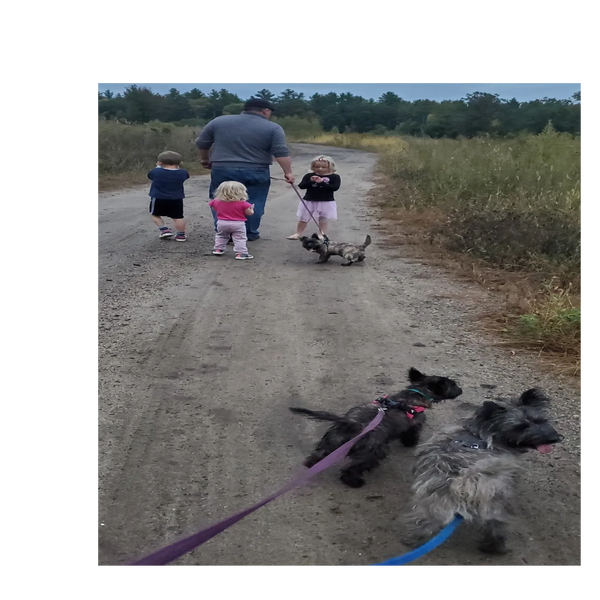 Dad and three children walking a puppy on dirt road in a field. Photographer Mom walks two dogs.