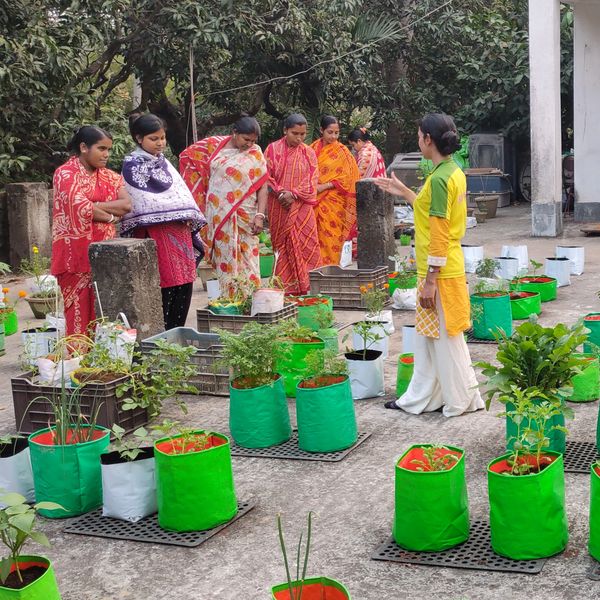 affordable volunteering in india