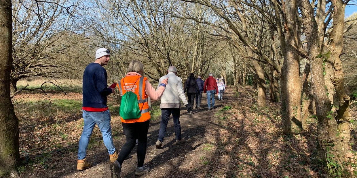 Group of people walking on a wooded trail on a sunny day.