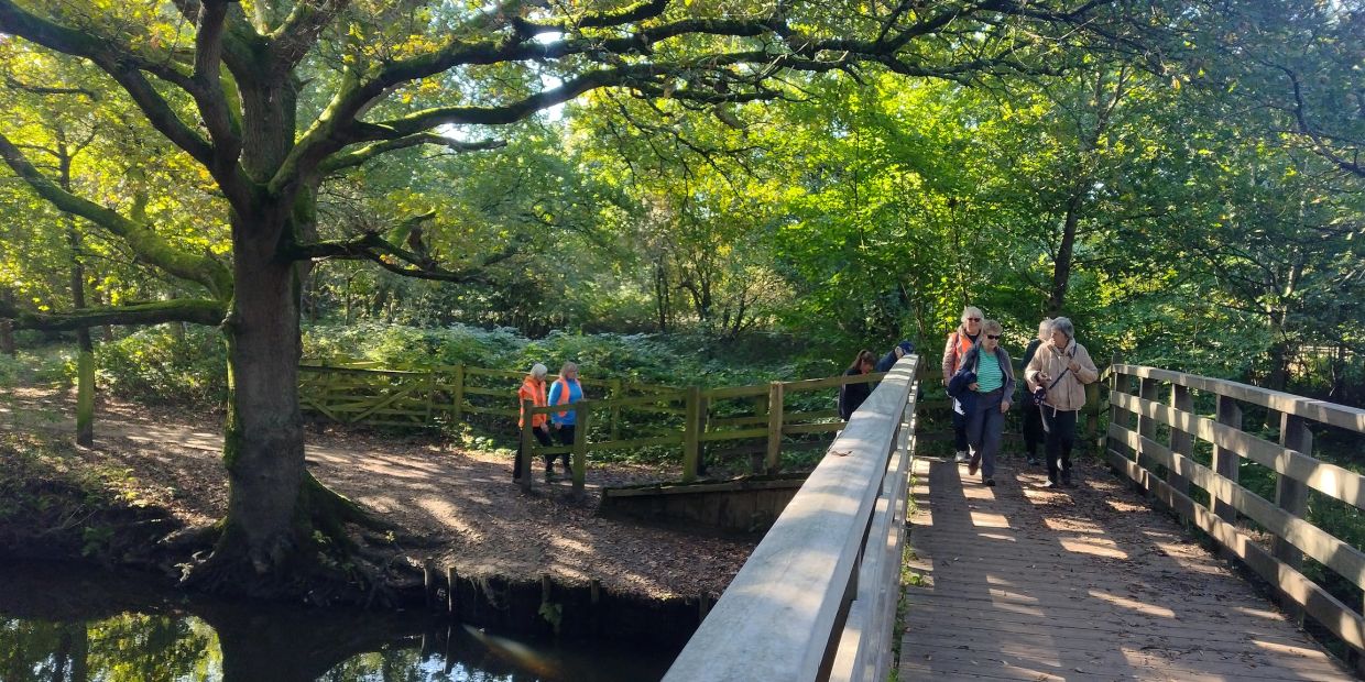 People walking on a wooden bridge surrounded by lush green trees on a sunny day.