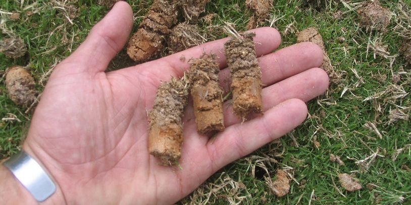 Green Lawn, Green Grass, Lawn Care, Plant Care, Insect Control, Aerating, Seeding, weeds, fertilize