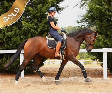 Everton Rubix
Rockstar x Everton Felicity