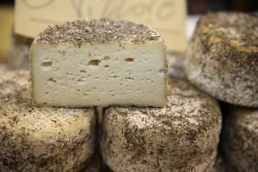 Conciato di San Vittore