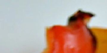 Roasted Yellow Pepper