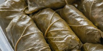 Frozen Stuffed Vine Leaves