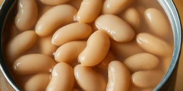 White Kidney Beans