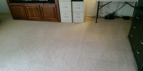 After: Carpet Cleaning