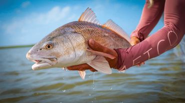 How We Fish Florida Redfish Fishing