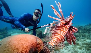 Lion Fish Removal How We Fish Florida