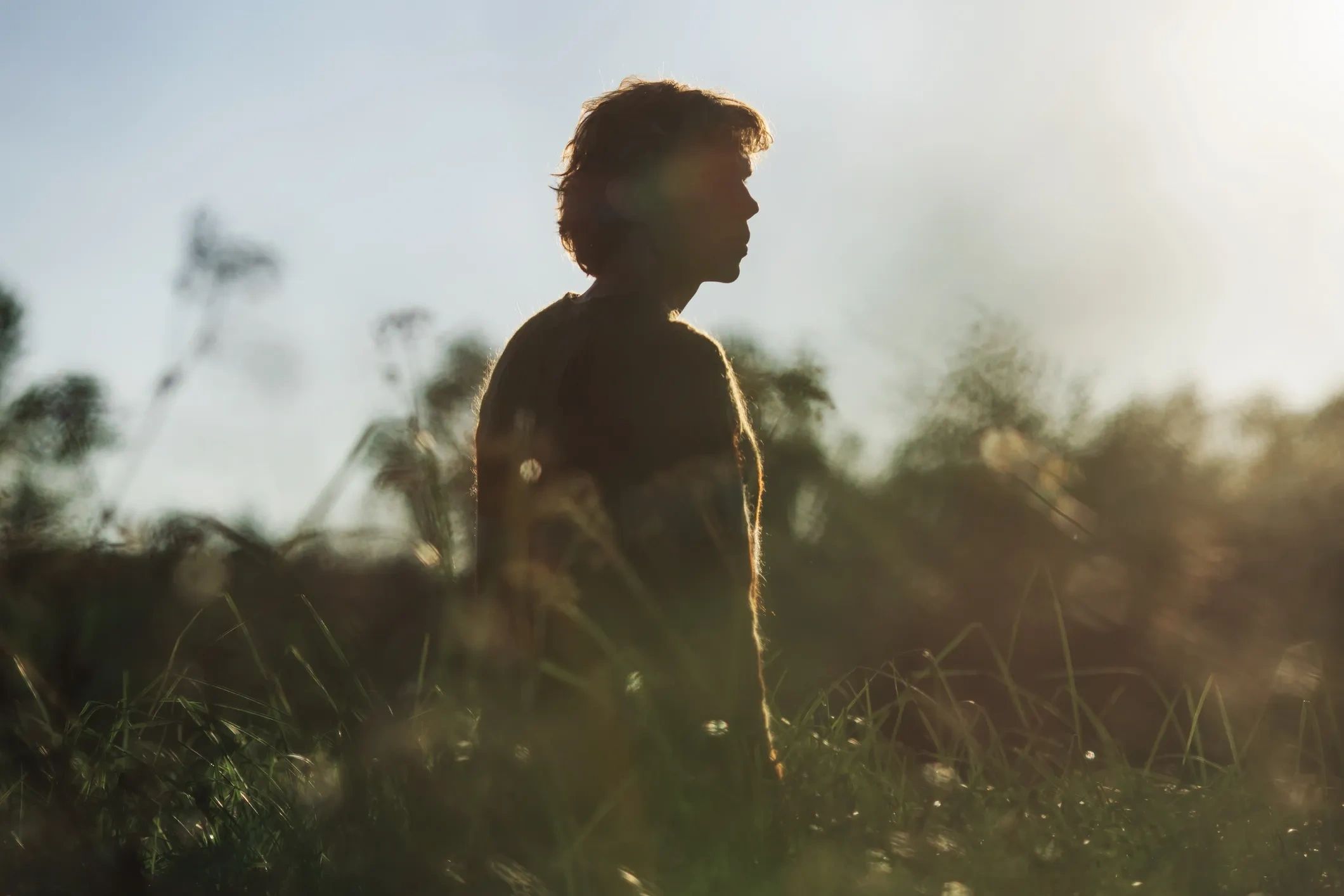 Silhouette of a person standing in a field at sunset.