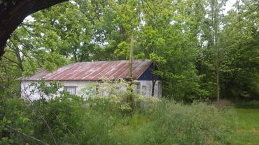 Rustic building with a rusty roof surrounded by lush green trees and grass.