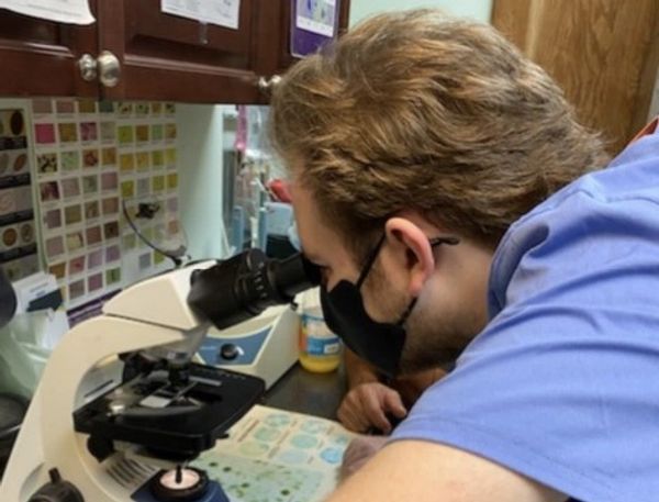 Person wearing a mask looking through a microscope in a lab.