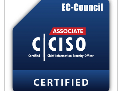 Digital Beachhead - Cybersecurity, Cyber, Security, vCISO, CMMC, C3PAO, EndPoint, $1 day, affordable