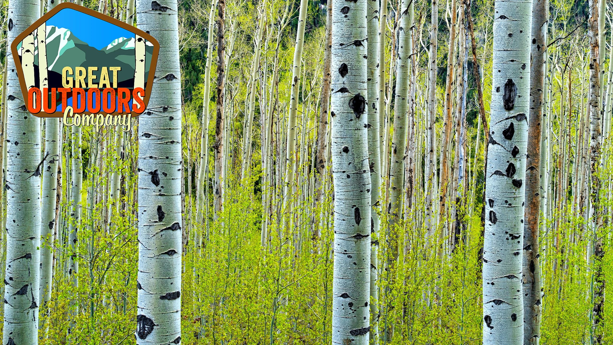 Spring in Colorado