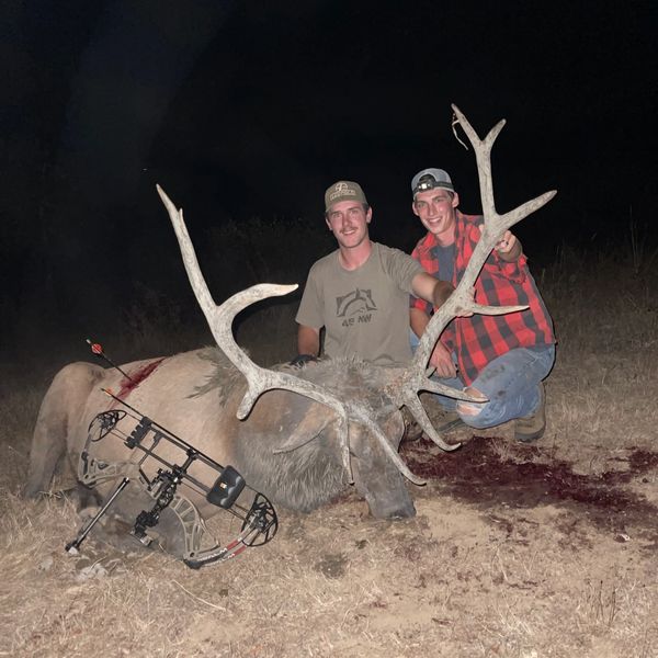 Oregon Roosevelt Elk Hunting