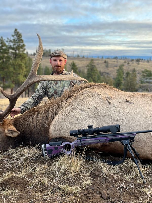Oregon Rocky Mountain Elk Hunting