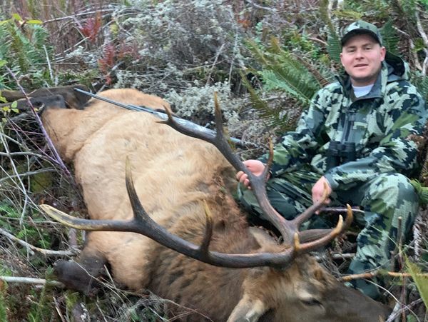 Oregon Roosevelt Elk Hunting