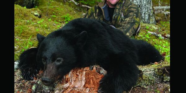 Bear Hunting with Mike Jenkins
