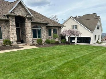 Wacky Weeds Lawn care, Mowing, trimming, weed removal