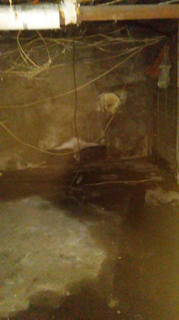 Cracked in foundation letting water seep through, loose low hanging wires from panel box.