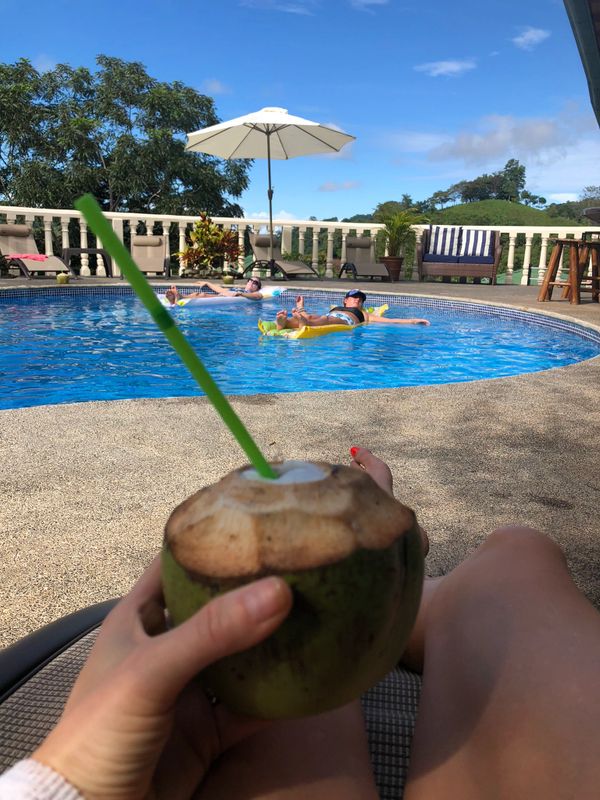 Coconut by the pool