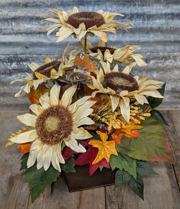 Cream Sunflowers Goldenrod Butterflies