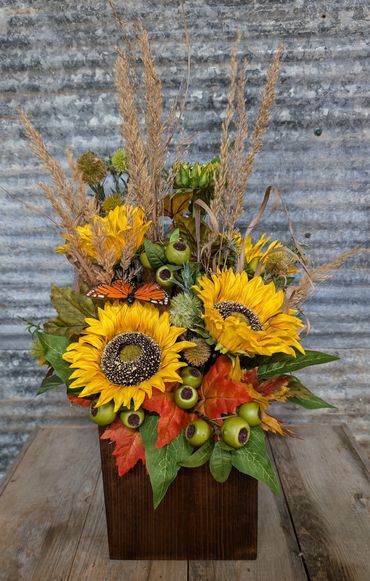 Yellow Suns Lime Pods Monarch