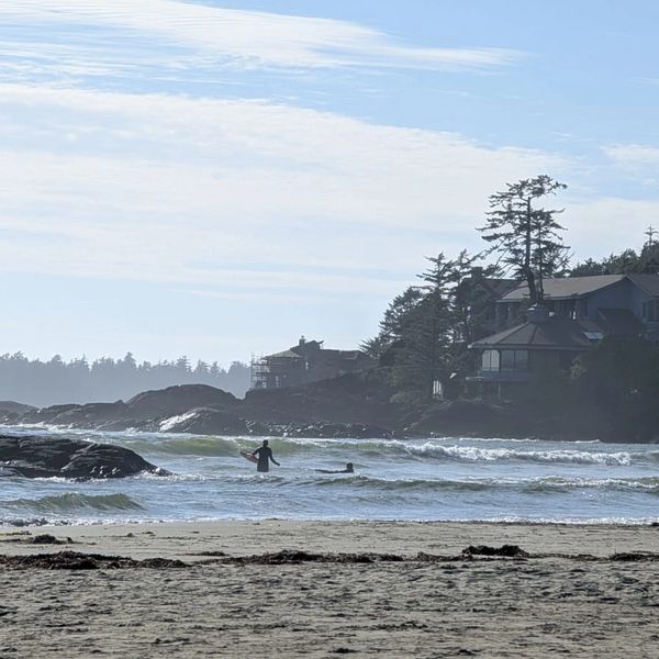 Surfers enjoy waves near a rocky coastline with houses and trees in the background.