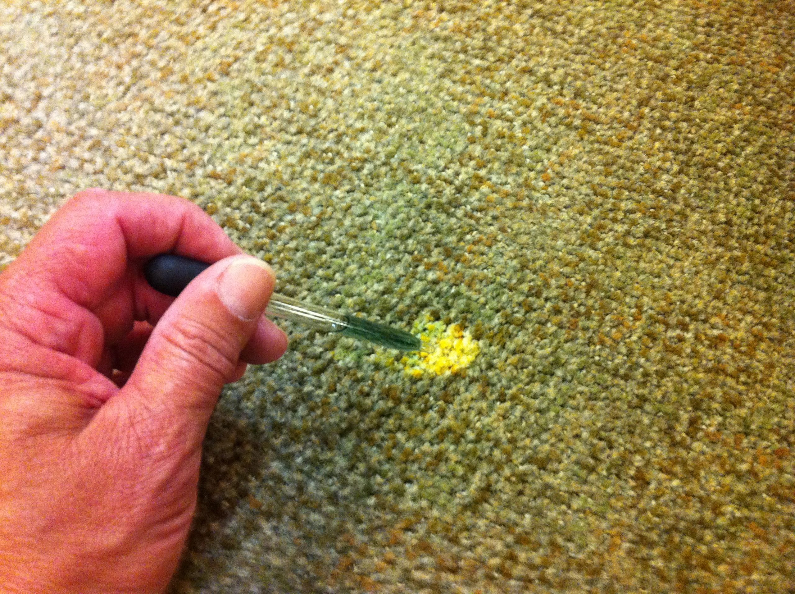 Carpet Repairs Spot Dye Wizard