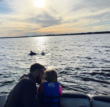 A man and child watch dolphins swim near their boat at sunset.