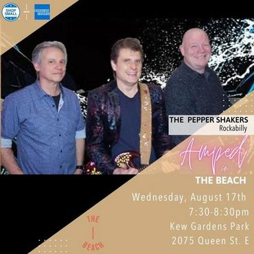 musicians for hire for your event - the Pepper Shakers