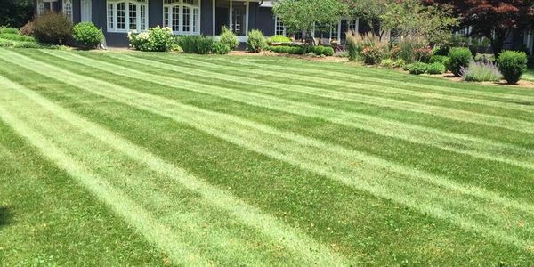 Properly mowed lawn